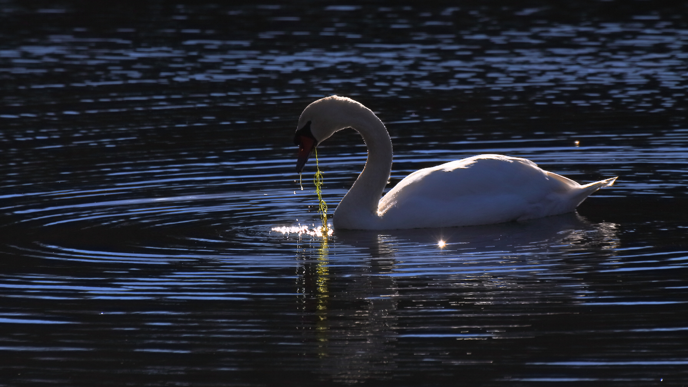 2014 12 13 HTP 000008286 (2)